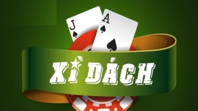 xi dach 1 1